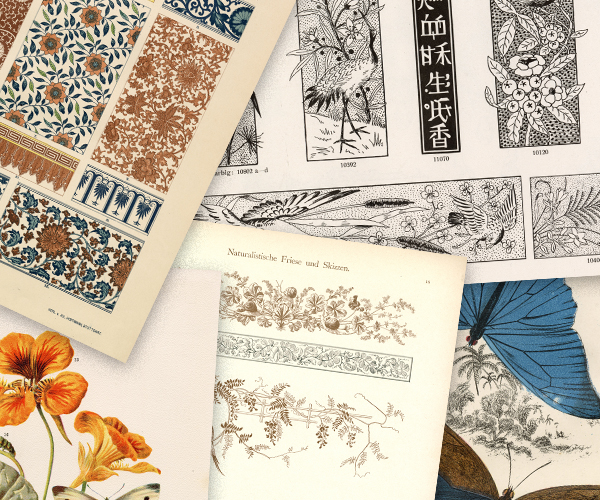 Full-page scans of antique plates - a heron, butterflies, anatomy and ornaments