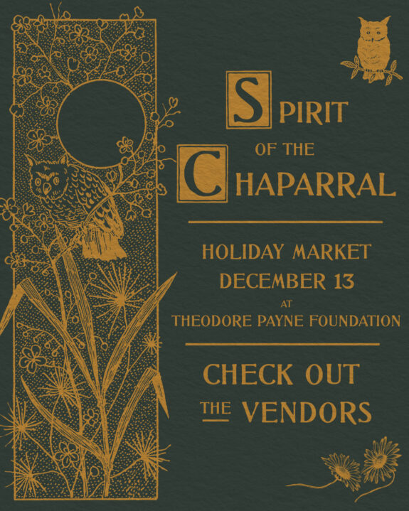 Spirit of the Chaparral holiday-market poster a member designed with Century Library illustrations