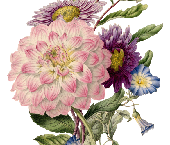 Floral Arrangement