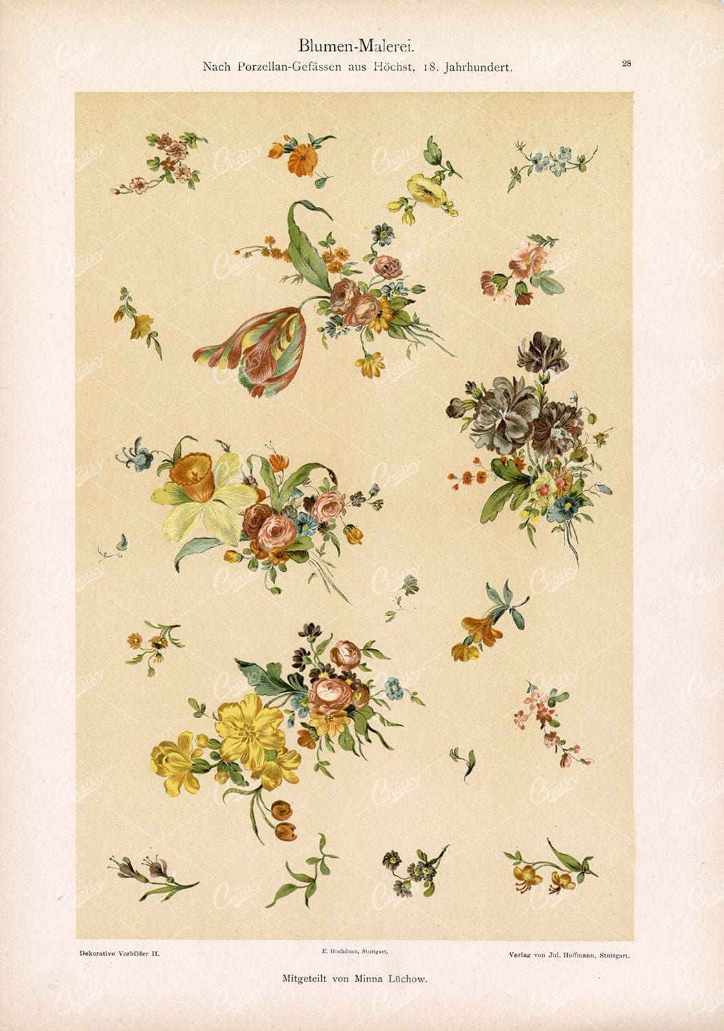 DEKORATIVE Vorbilder II, Blumen-Malerei. Vintage Flower Painting