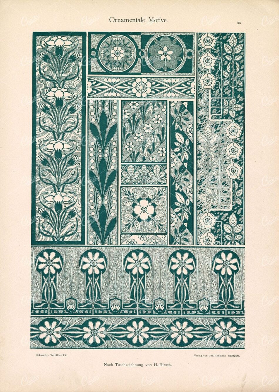 DEKORATIVE Vorbilder IX, Ornamentale Motive. Ornate Floral Design