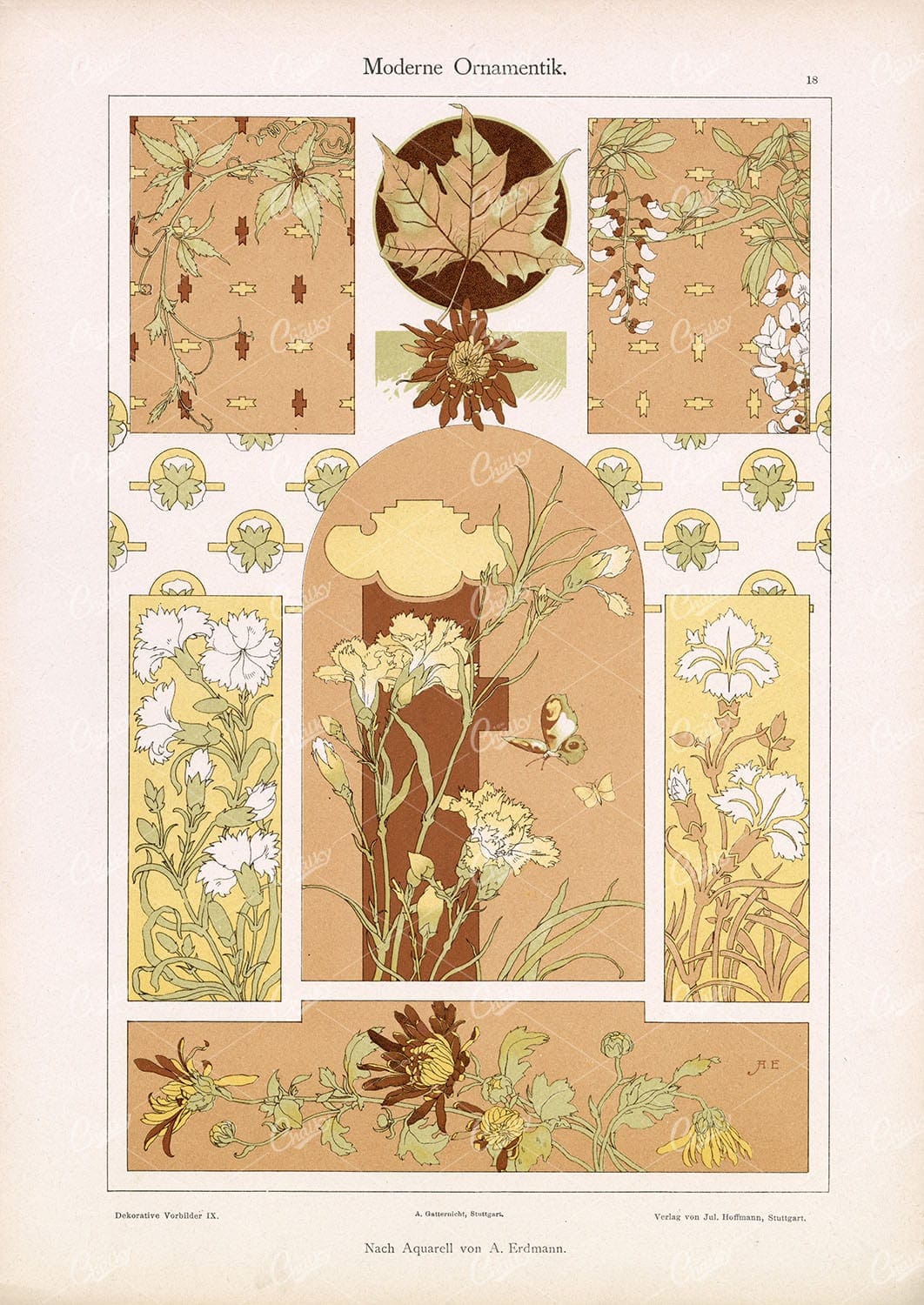 DEKORATIVE Vorbilder IX, Modern Botanical Ornamental Design 1904