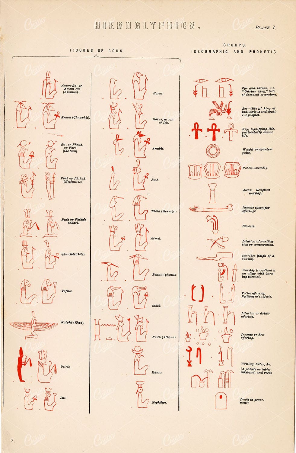 HIEROGLYPHICS Figures of Gods. Vintage Egyptian Stock Image - Miscellaneous - Century Library