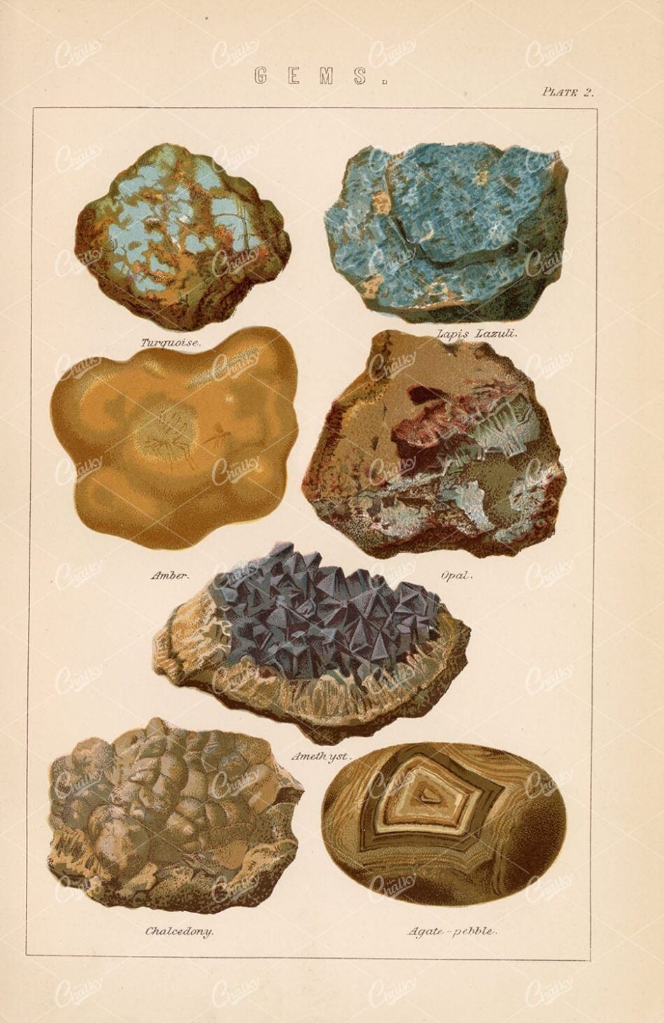 GEMS Turquoise, Lapis, Opal, Amethyst, Amber. Antique 1880 Lithograph - Miscellaneous - Century Library