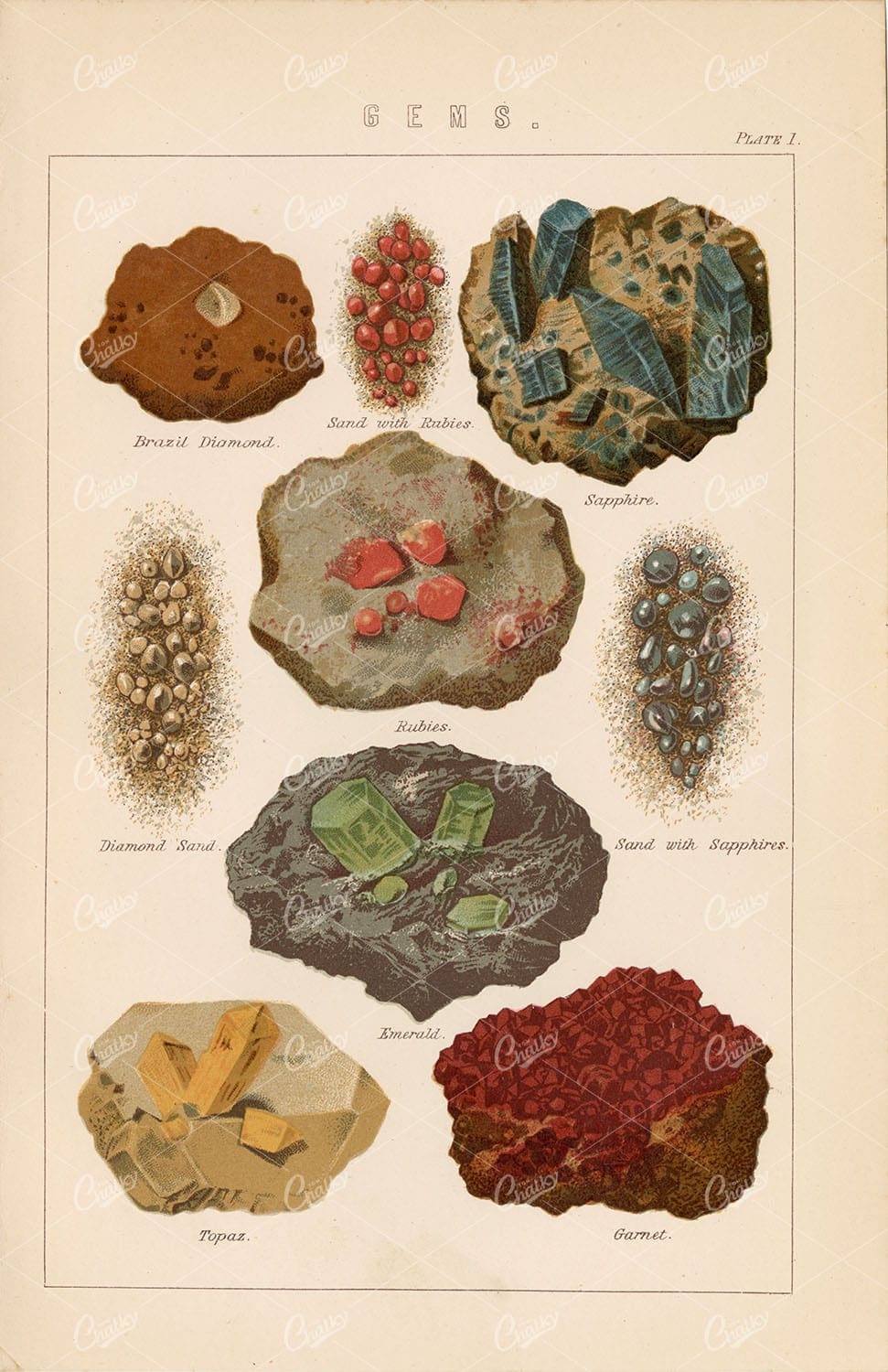 GEMS Diamond, Rubies, Sapphire, Emerald, Garnet, Topas. 1880 Lithograph - Miscellaneous - Century Library