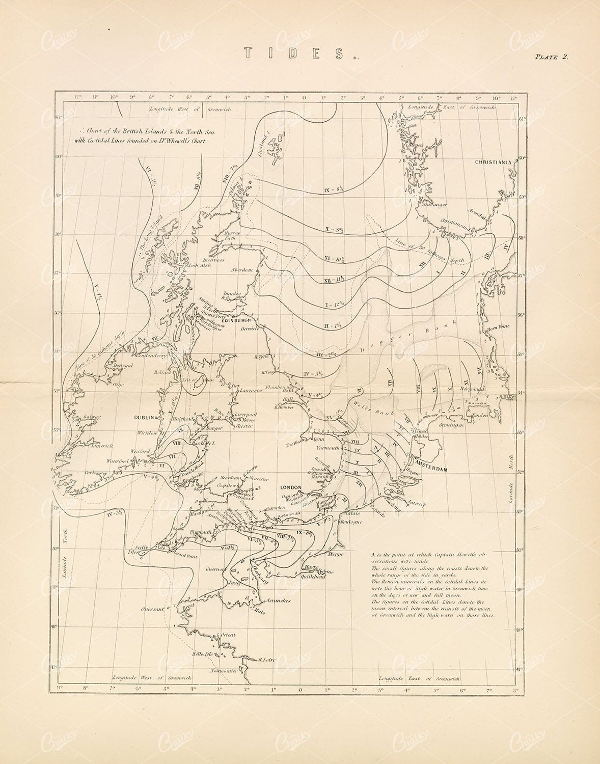 TIDES of British Isles and the North Sea, Vintage 1880 Map - Maps - Century Library