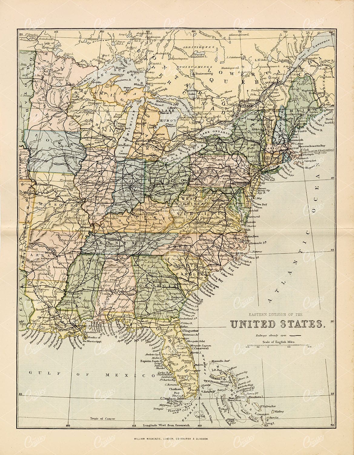 UNITED STATES, Eastern Division. Vintage William Mackenzie 1880 Map - Maps - Century Library