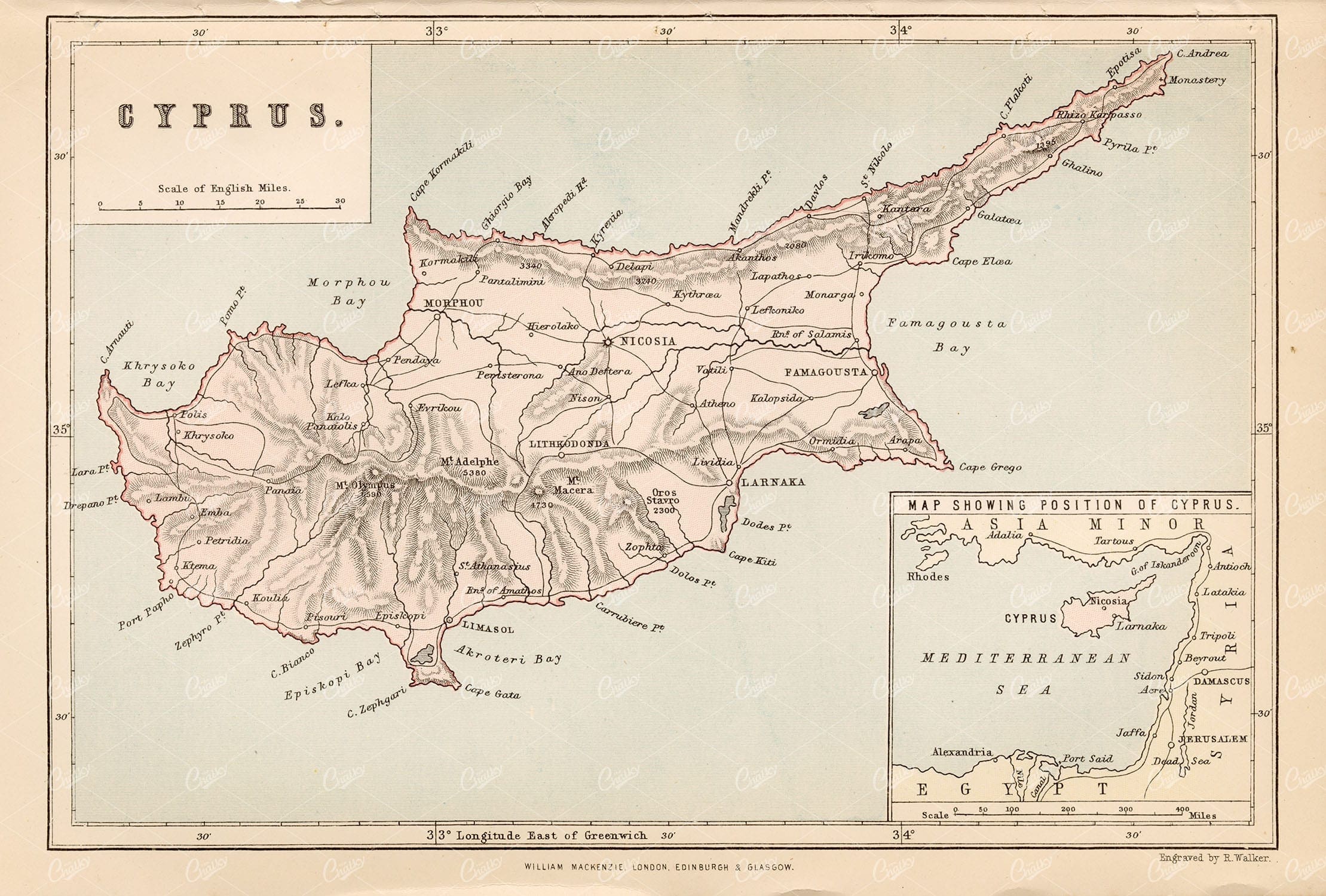 CYPRUS Antique Map, William Mackenzie Encyclopaedia, 1880 - Maps - Century Library