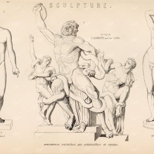 ANCIENT Greek Sculpture Antinous, Apollino. William Mackenzie 1880 - Design - Century Library