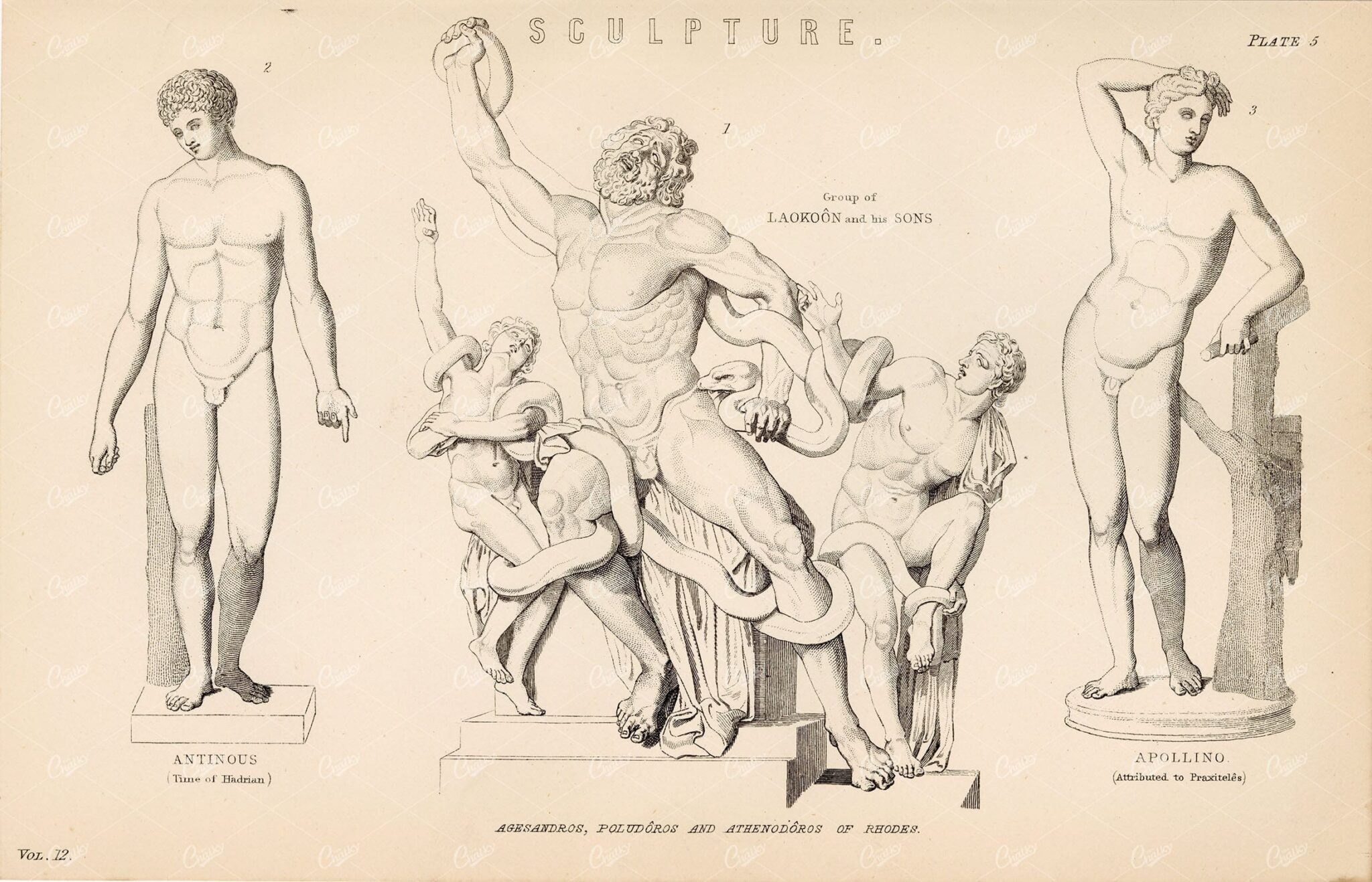 ANCIENT Greek Sculpture Antinous, Apollino. William Mackenzie 1880 - Design - Century Library