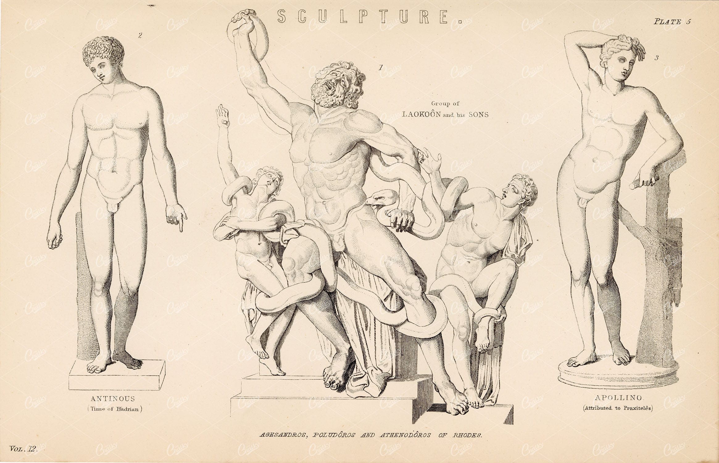 ANCIENT Greek Sculpture Antinous, Apollino. William Mackenzie 1880 - Design - Century Library