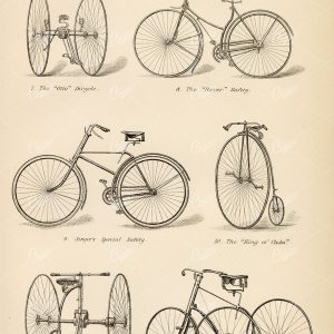 TRICYCLE And Other Forms of Cycles. Antique 1880 Art - Transport - Century Library