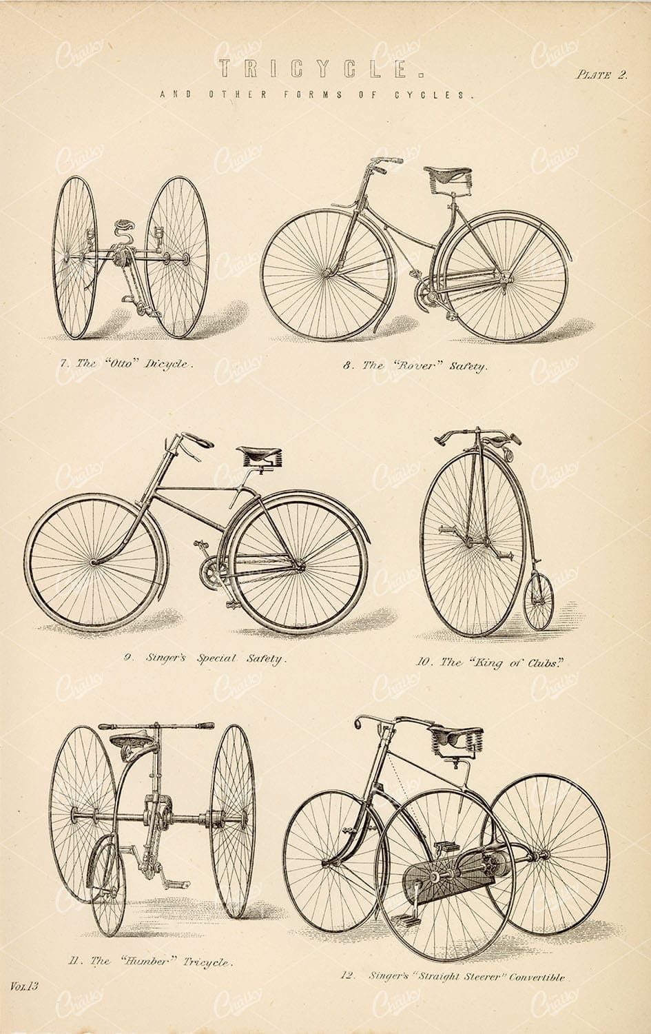 TRICYCLE And Other Forms of Cycles. Antique 1880 Art - Transport - Century Library