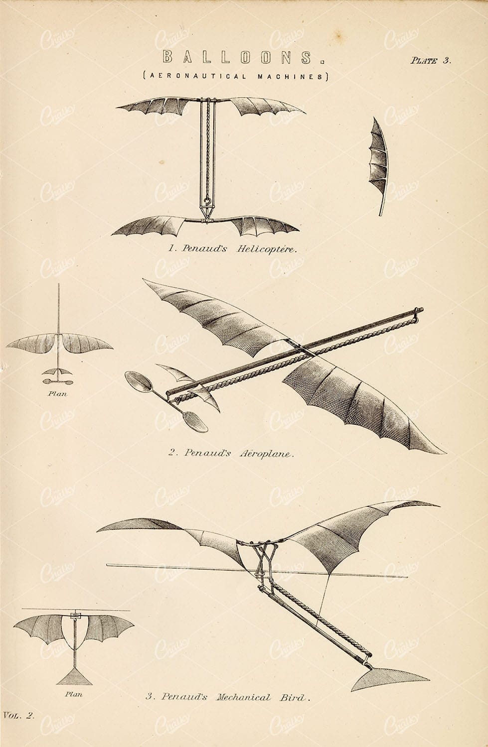 AERONAUTICAL Machines - Penauds Mechanical Bird. Antique 1880 Print