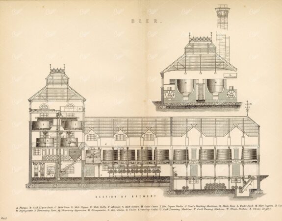 BEER - Section of a Brewery. Antique 1880's Print