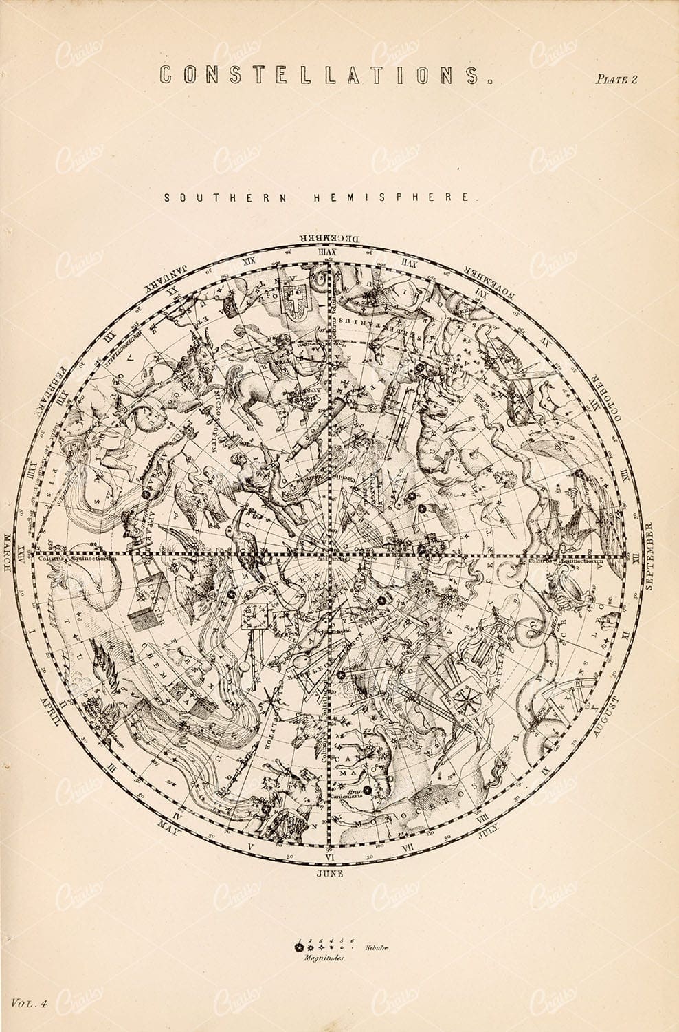 ASTRONOMY - Constellations of the Southern Hemisphere, 1880 Vintage Print