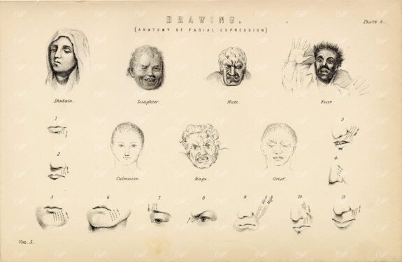 ANATOMY - Drawing (Anatomy of Facial Expressions), Antique 1880 Print