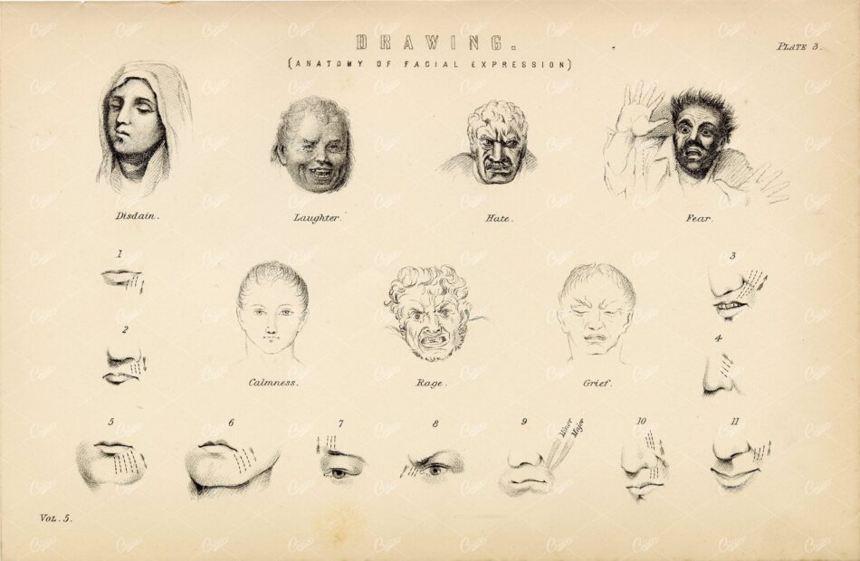 ANATOMY - Drawing (Anatomy of Facial Expressions), Antique 1880 Print