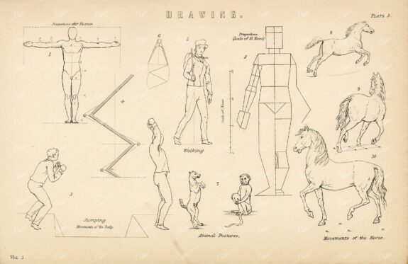 ANTIQUE Illustration for Artists and Drawing Proportions, 1880 Print