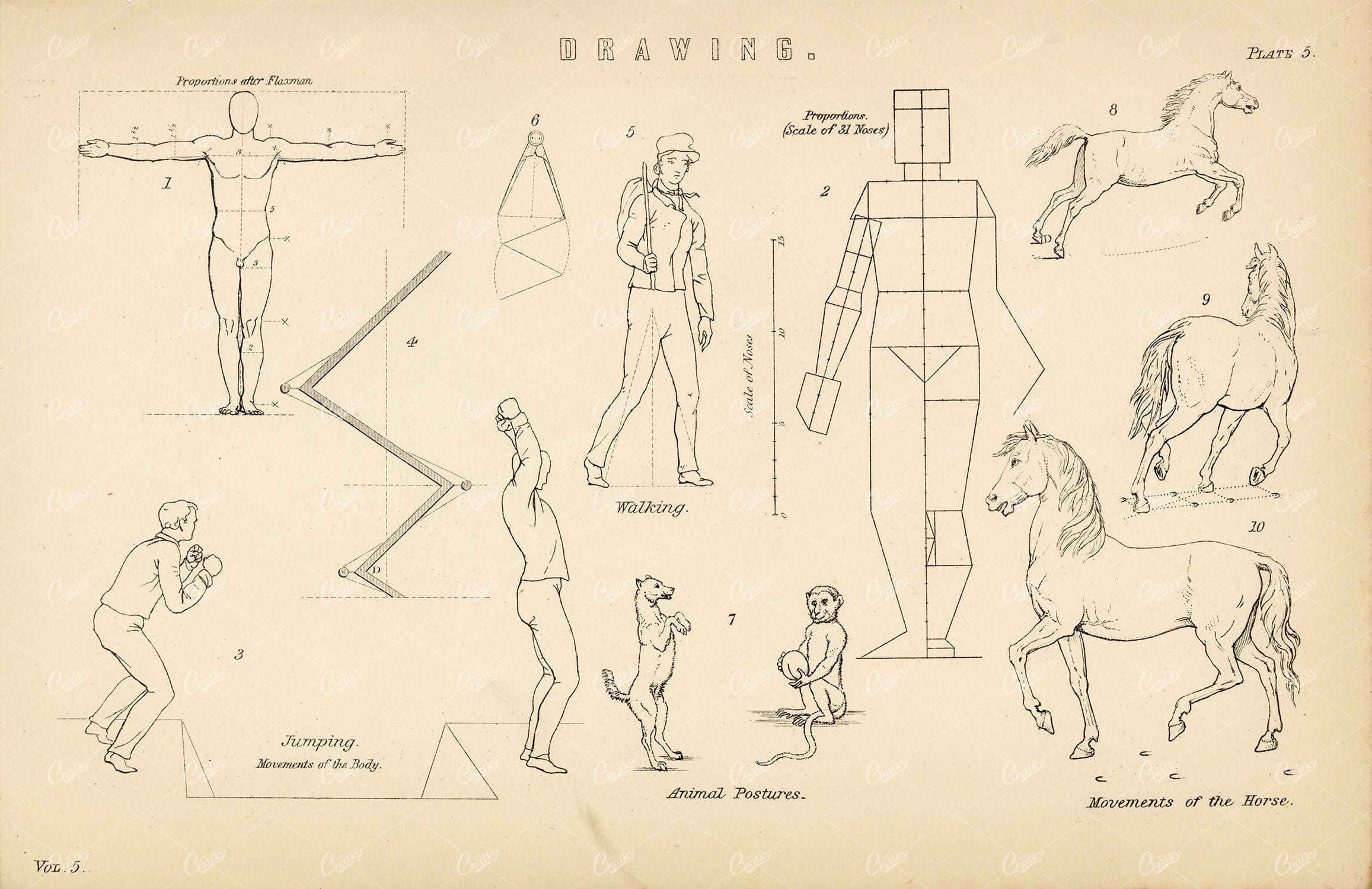 ANTIQUE Illustration for Artists and Drawing Proportions, 1880 Print