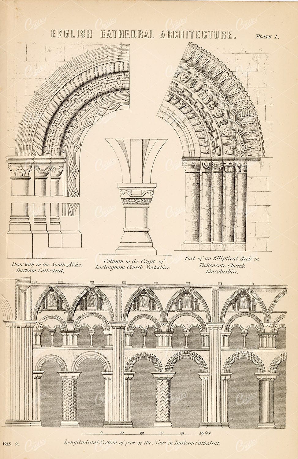 ENGLISH Cathedral Architecture - Antique 1880's Illustration