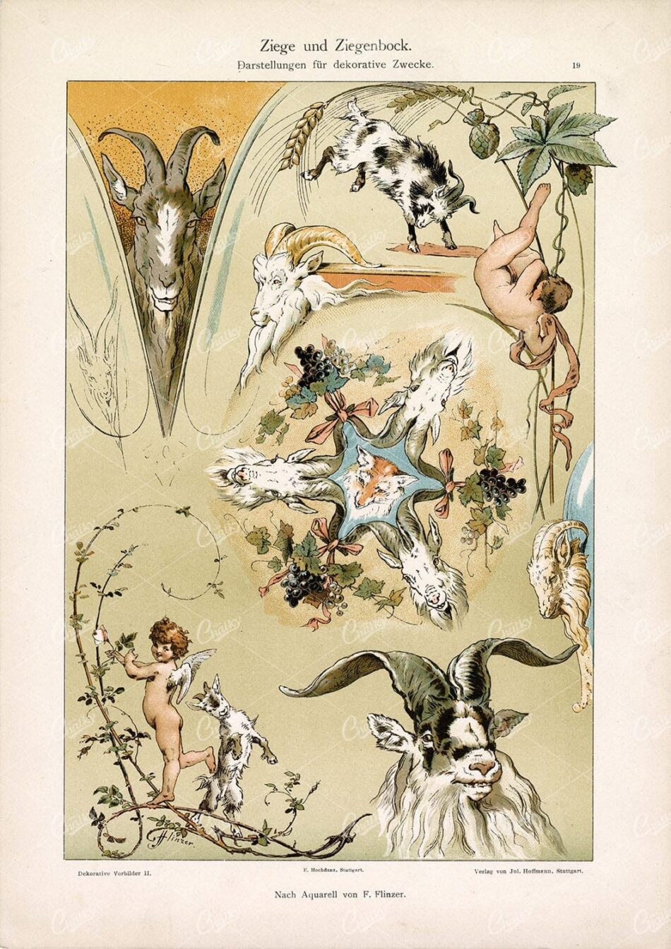 GOAT and Billy Goat for Decorative Purposes - by F. Flinzer - Antique Print