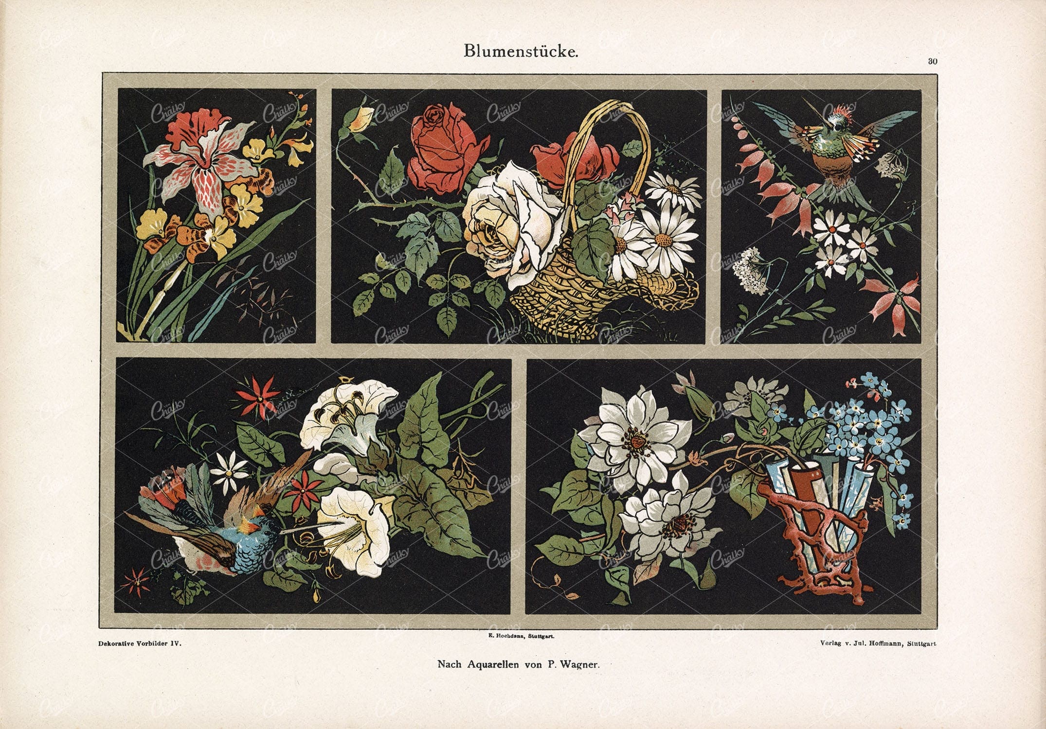 VARIOUS Floral Designs - Antique Artwork by P. Wagner (Dekorative Vorbilder)