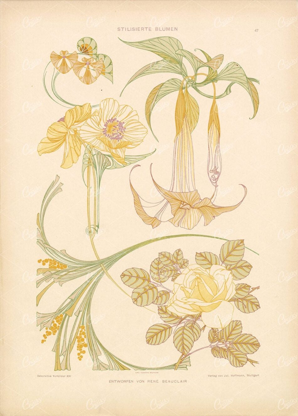 INTRICATE Art Nouveau Floral Elements - by Rene Beauclair
