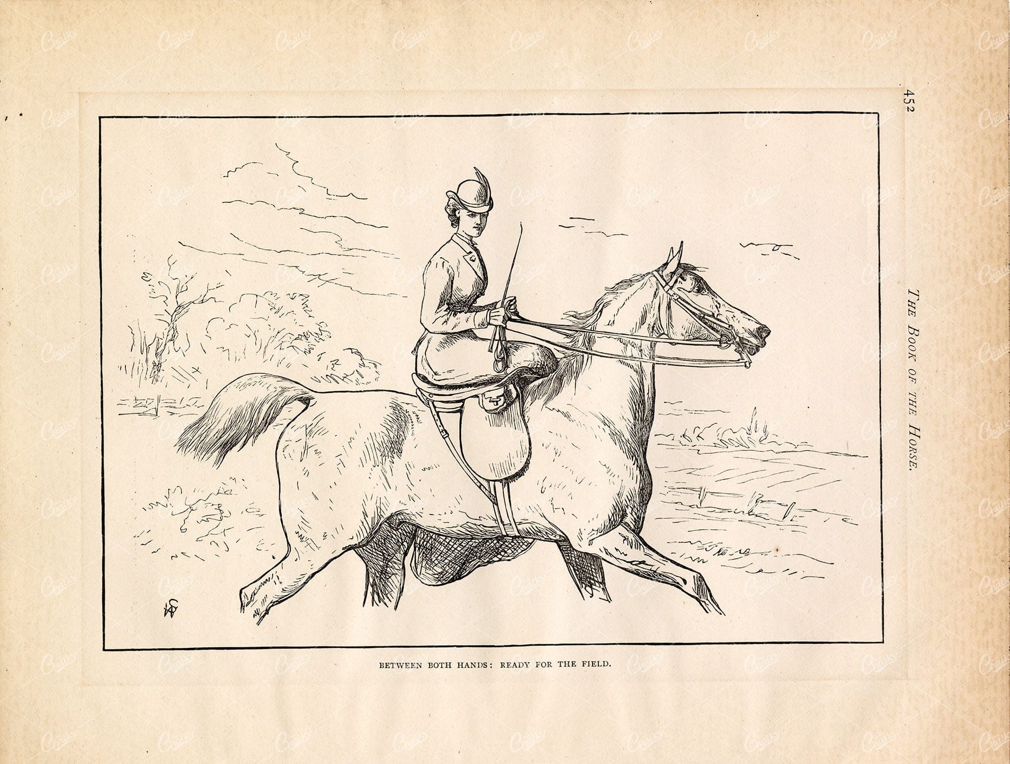 1875 Antique Print Woman HORSE Riding Cassell's Book of the Horse