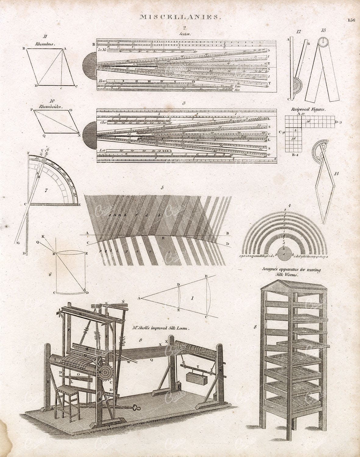 ANTIQUE Miscellanies Print - Mr. Sholl's Silk Loom, Romboides - 1800s