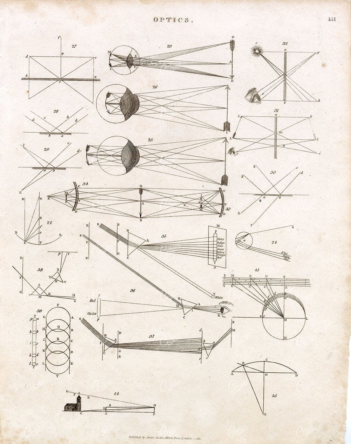 ANTIQUE Optics Print - Rare Abraham REES Cyclopaedia Plate 1800s