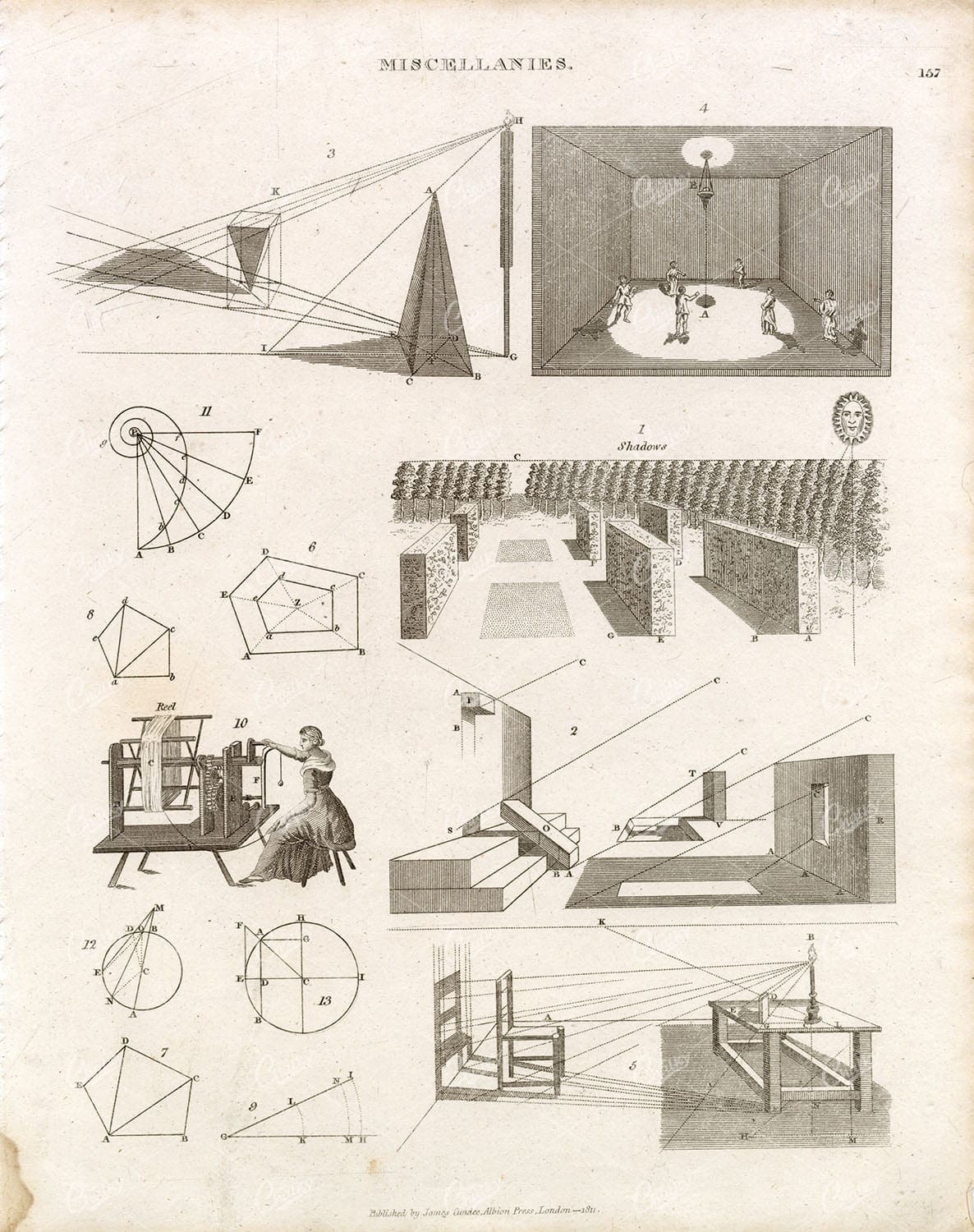 ANTIQUE Shadows Print - Rare Abraham REES Encyclopaedia Plate 1800s