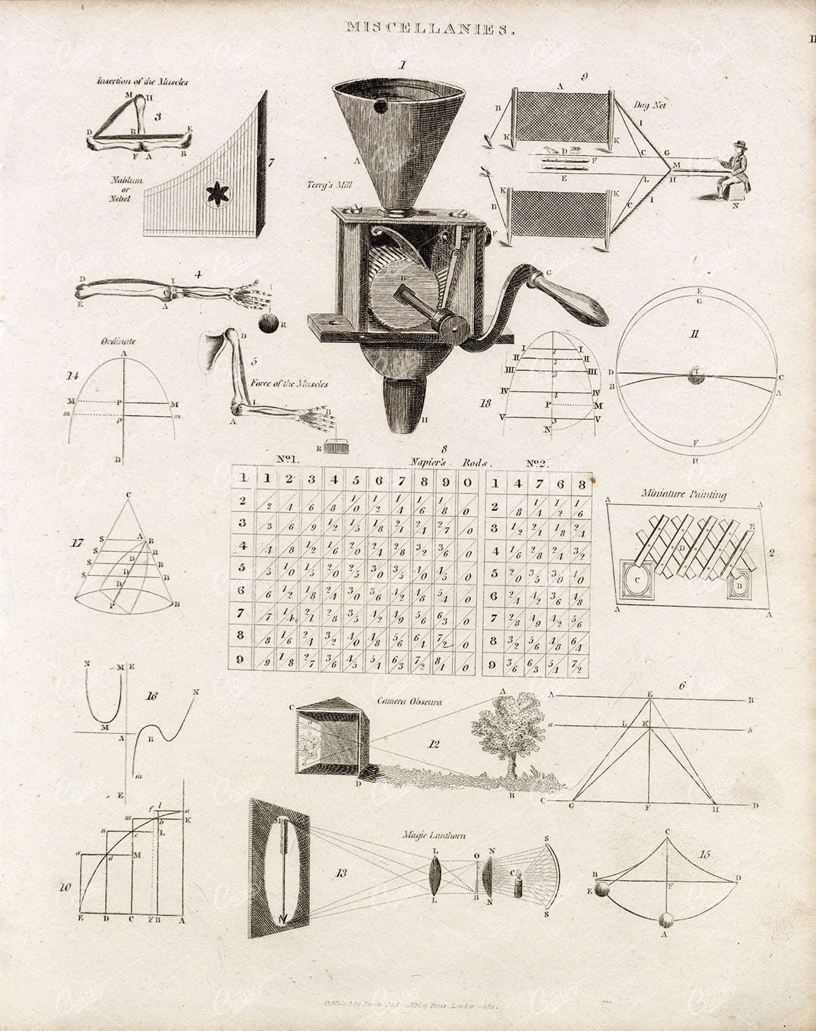 ANTIQUE Miscellanies Print - Camera Obscura, Terry's Mill - REES Plate