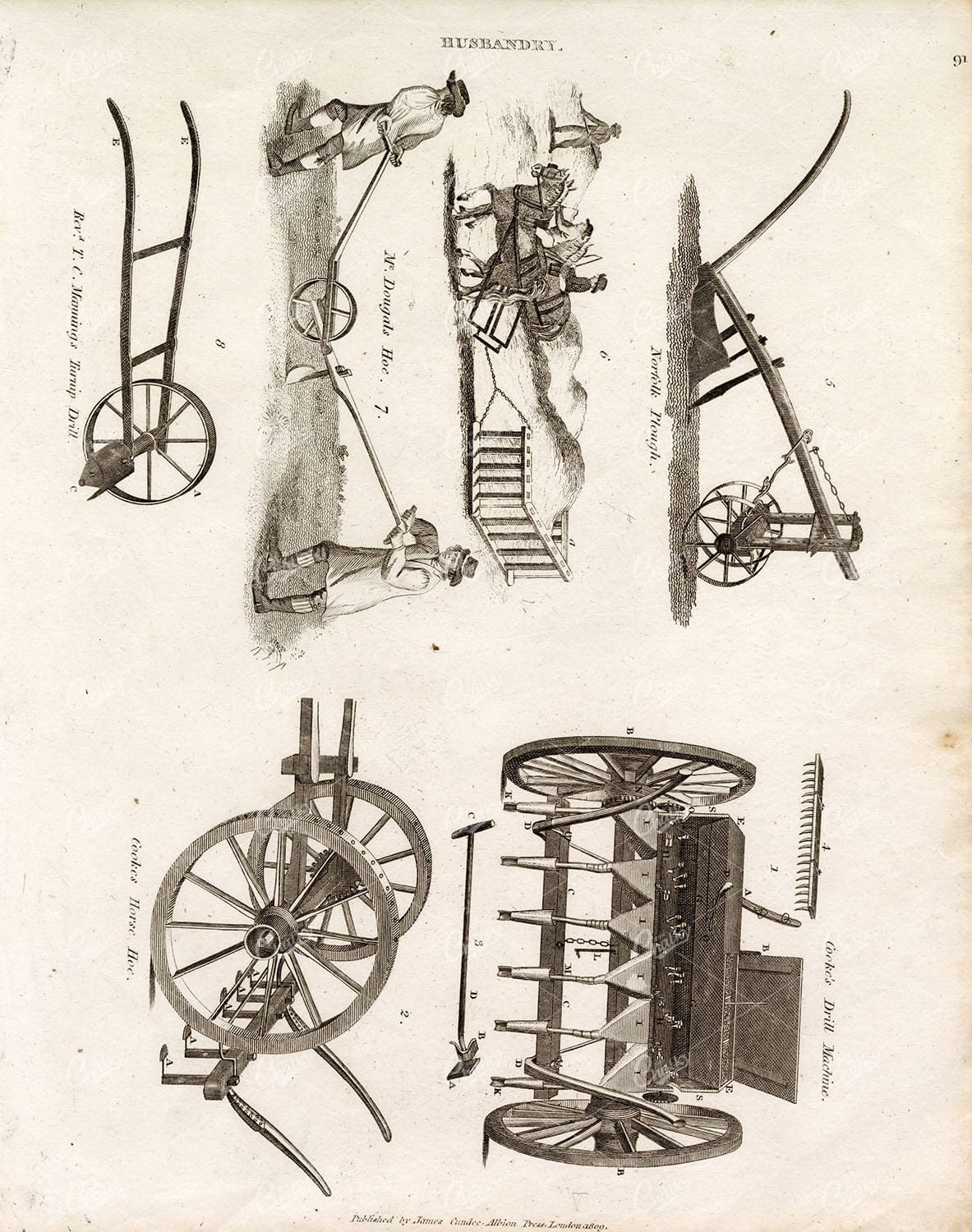 AGRICULTURE - Antique HUSBANDRY Print - Abraham REES Cyclopaedia