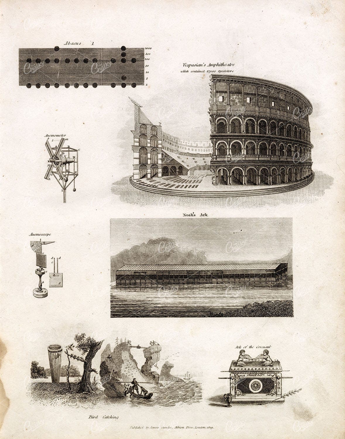 OLD Miscellanies Print - Vespasian's Amphitheater, Noah's Ark - REES Plate