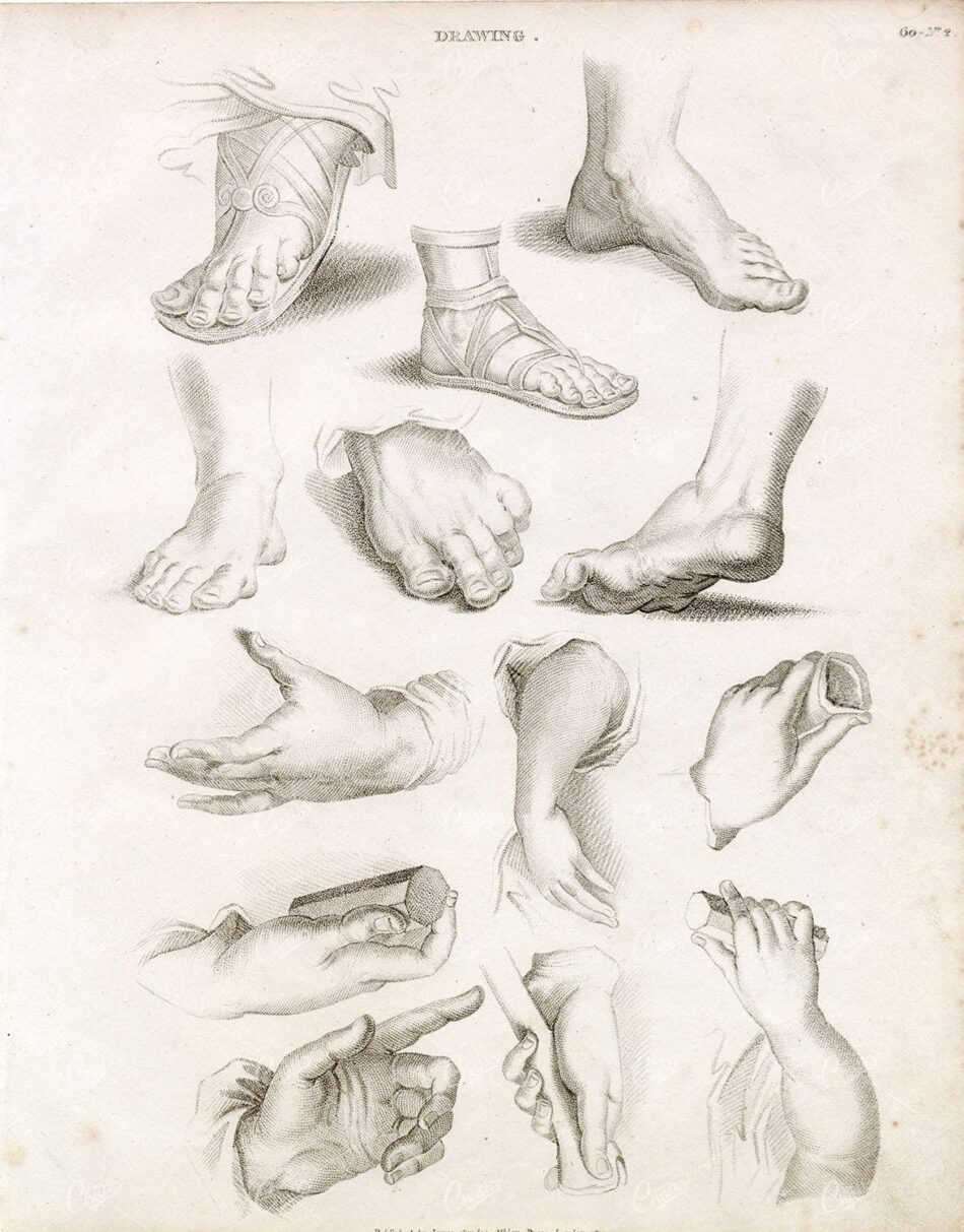ANTIQUE Guide to Drawing Hands and Feet - Abraham REES 1800s Plate