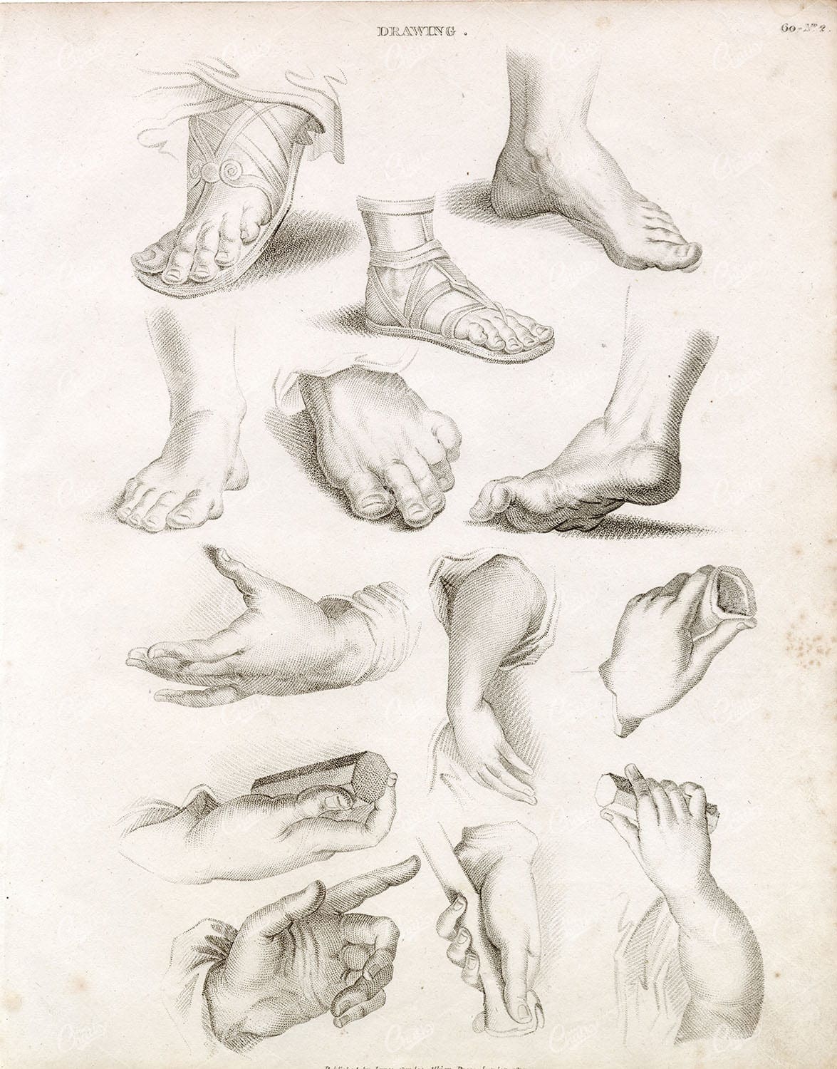 ANTIQUE Guide to Drawing Hands and Feet - Abraham REES 1800s Plate