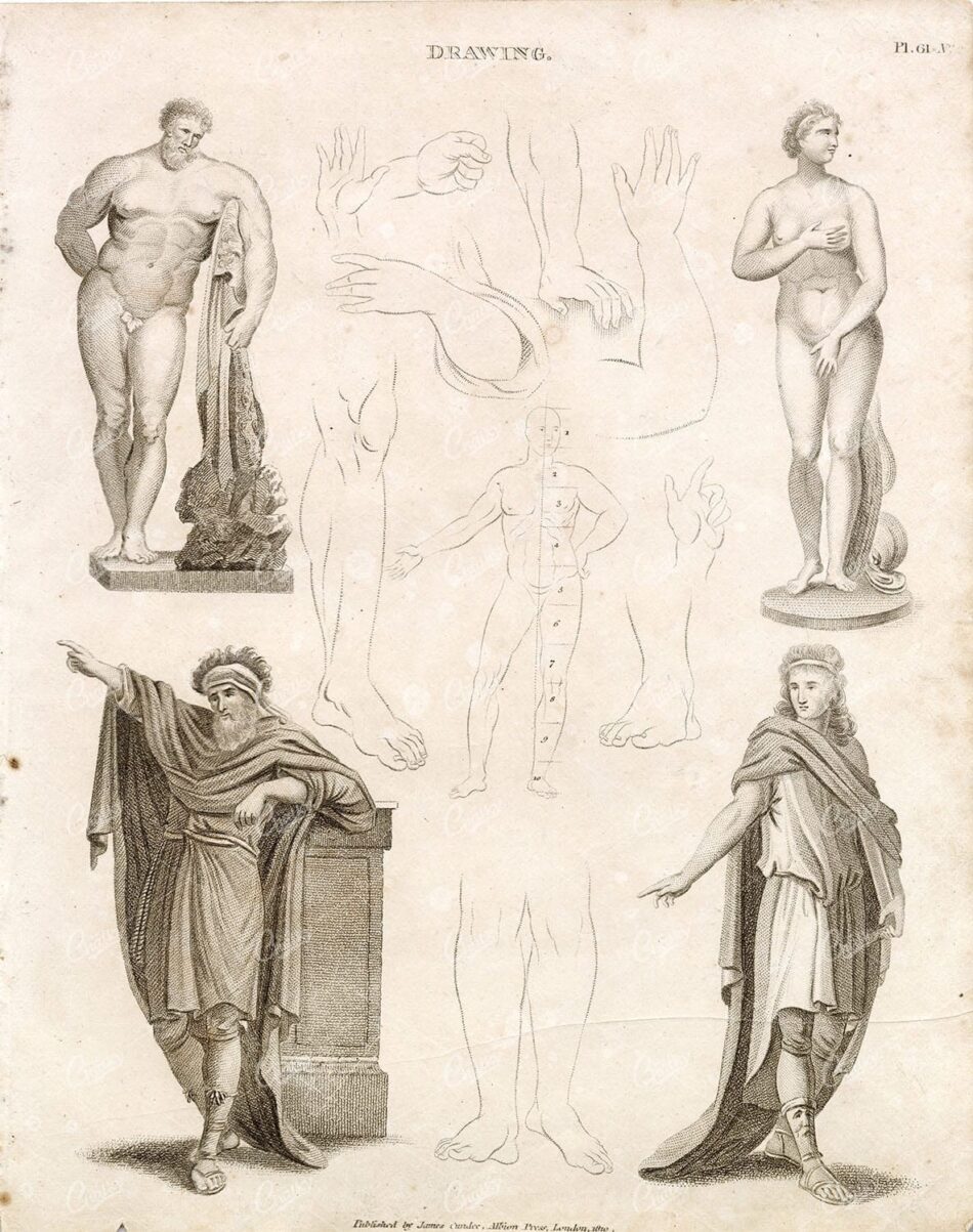 ANTIQUE Guide to Drawing Human Body - Abraham REES 1800s Plate
