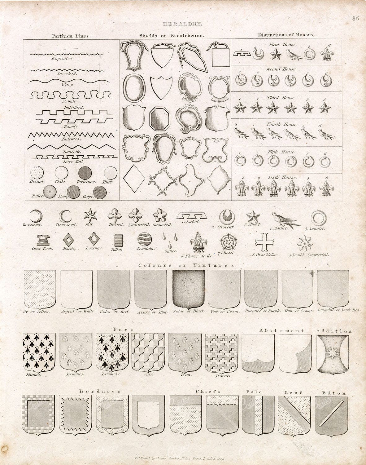 1800s HERALDRY Print - Various Design Elements - RARE Engraving