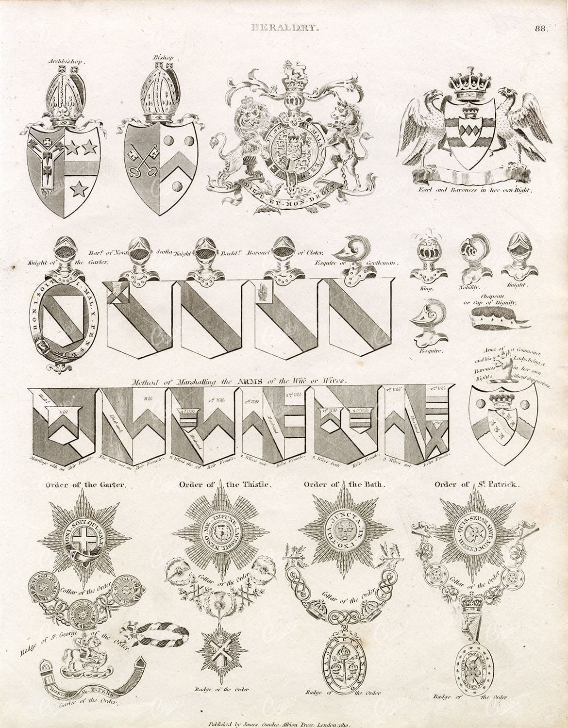 1800s HERALDRY Print - Various Design Elements - RARE Engraving