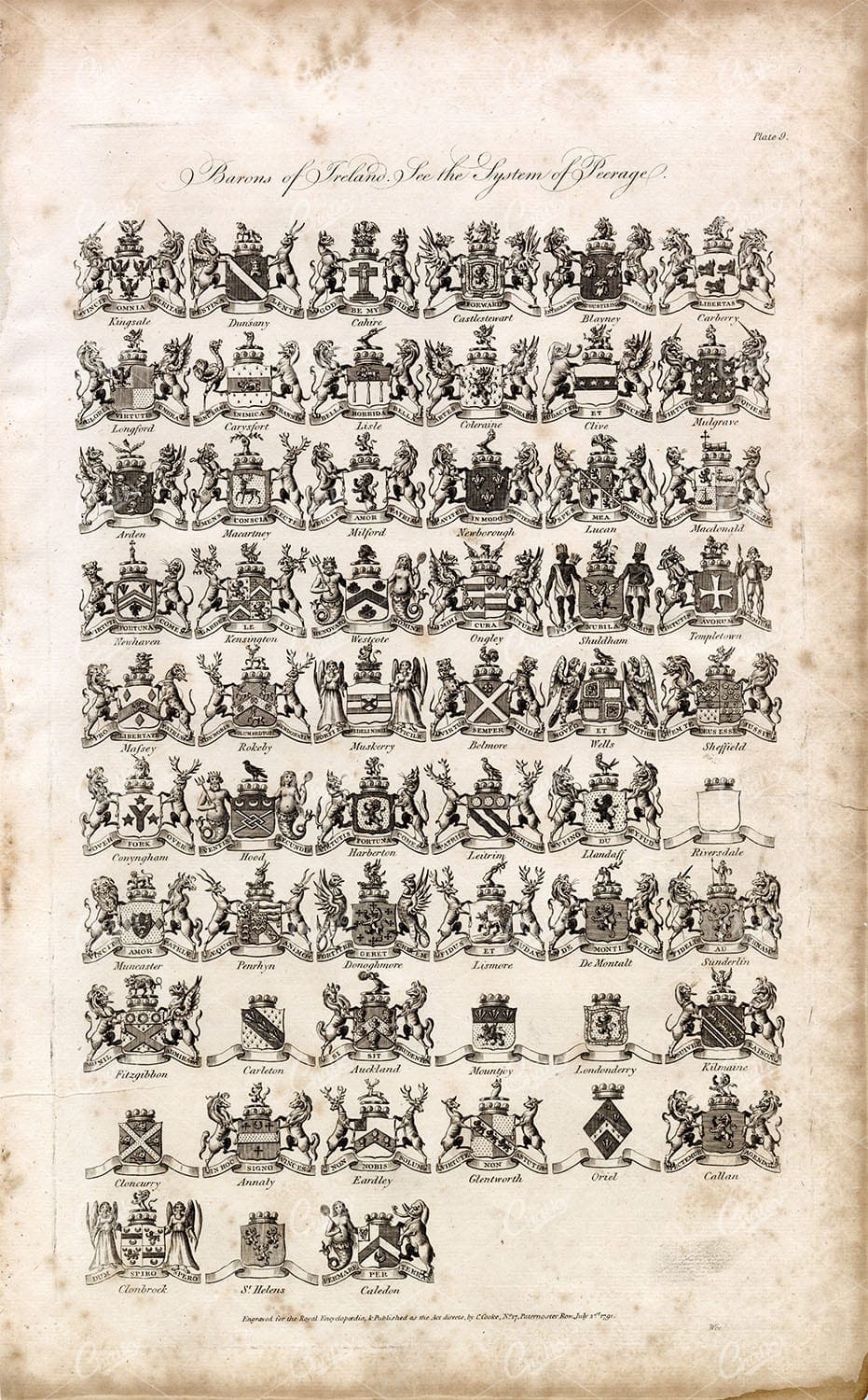 ANTIQUE Heraldry Print - Barons of Ireland - 1791 Engraving