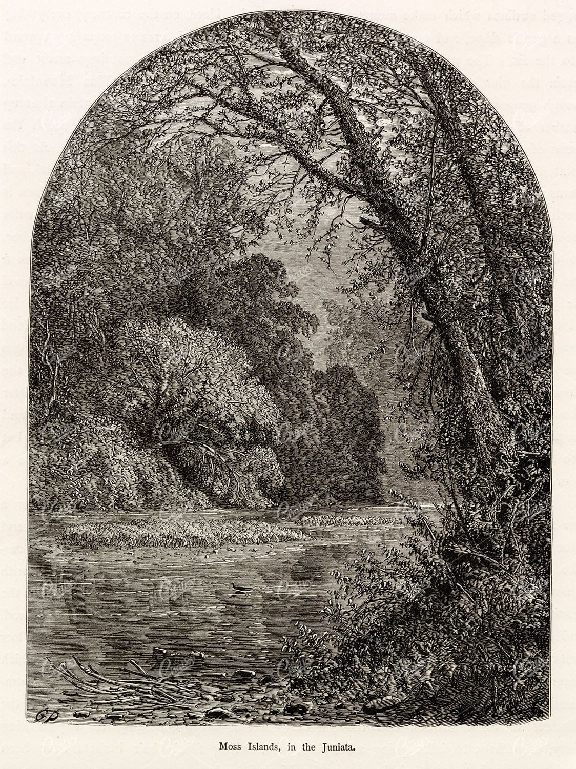 PENNSYLVANIA - Moss Islands, in the Juniata - Antique 1874 Engraving