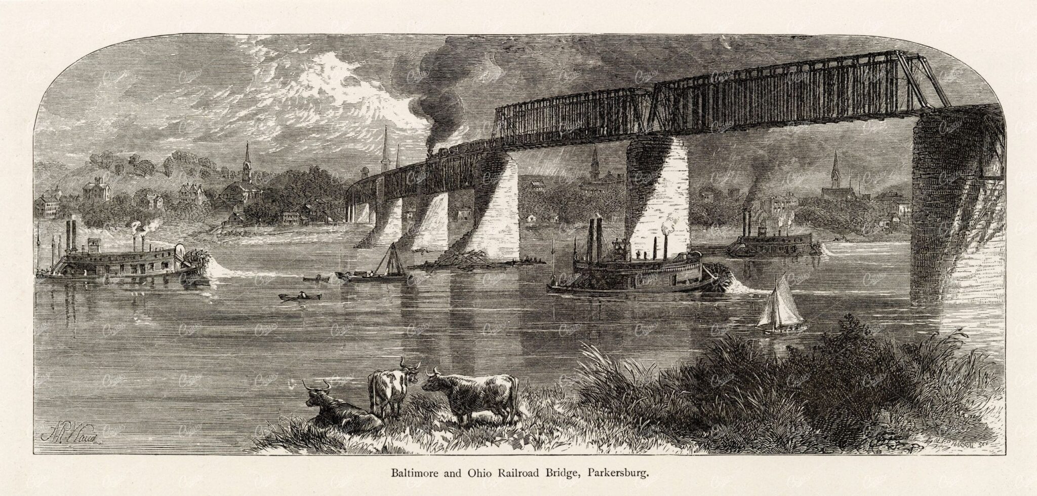 BALTIMORE and OHIO Railroad Bridge - Parkersburg - America 1874