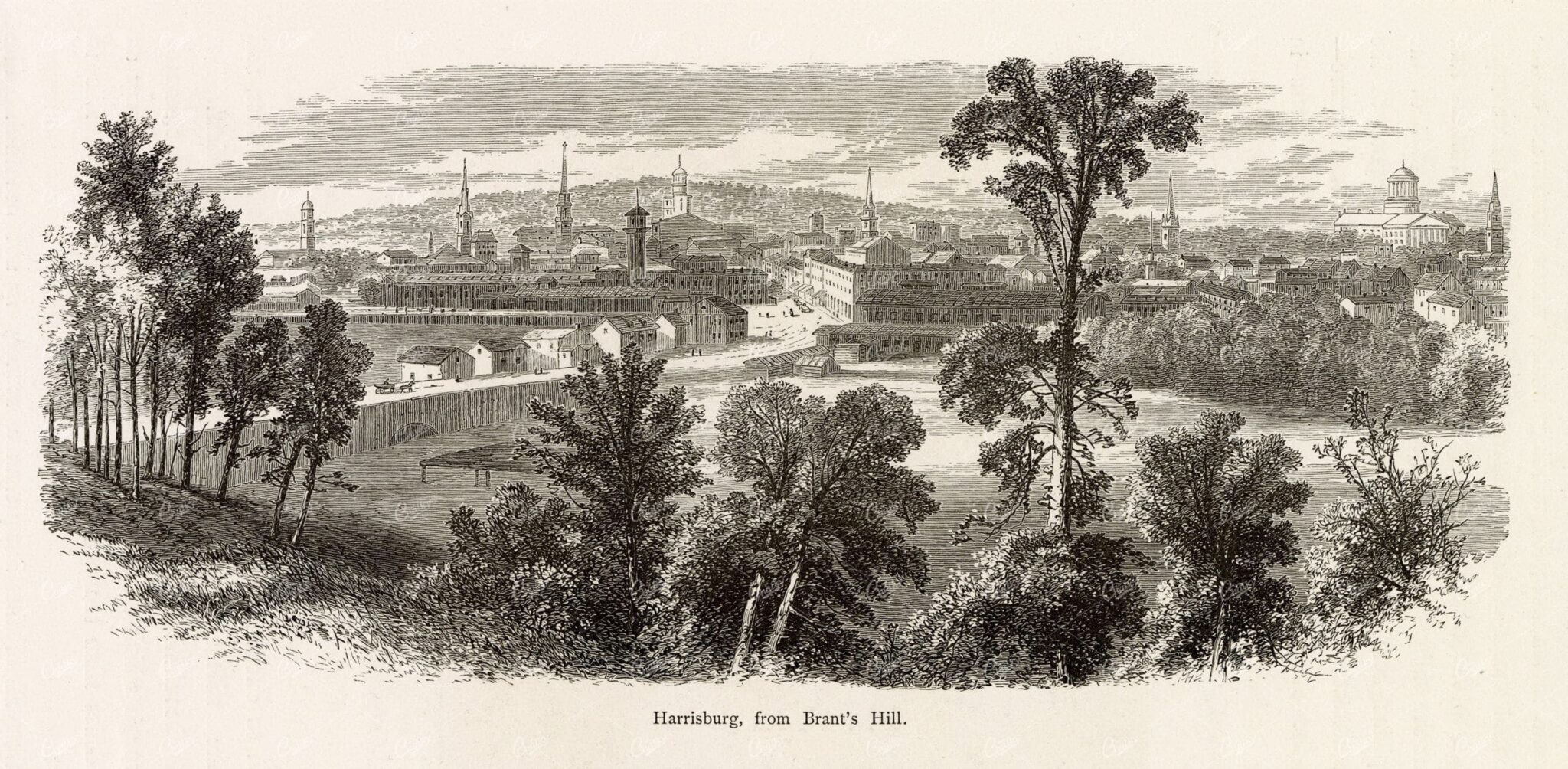 PENNSYLVANIA, Harrisburg from Brant's Hill - Old American Landscape 1874