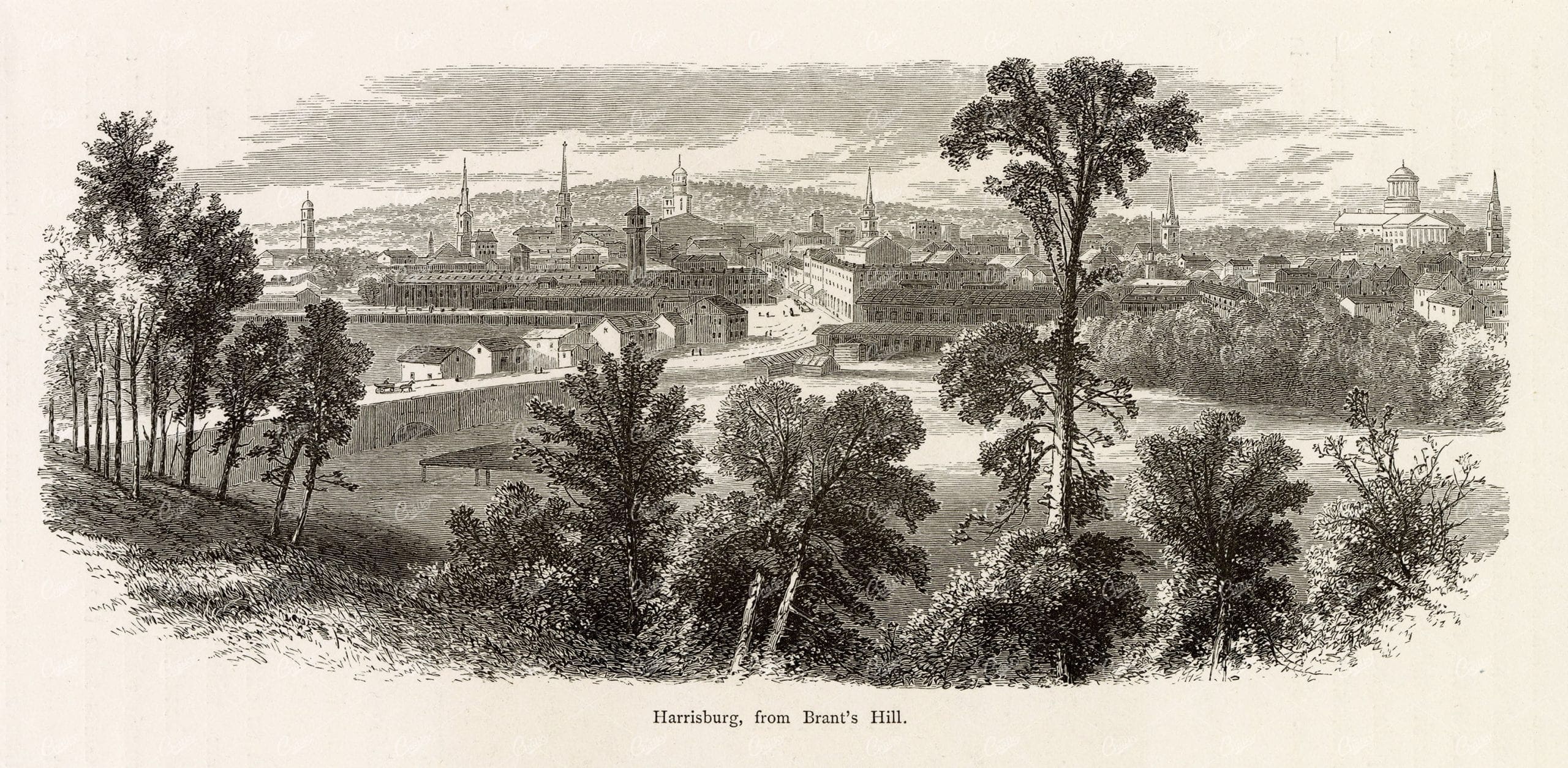 PENNSYLVANIA, Harrisburg from Brant's Hill - Old American Landscape 1874