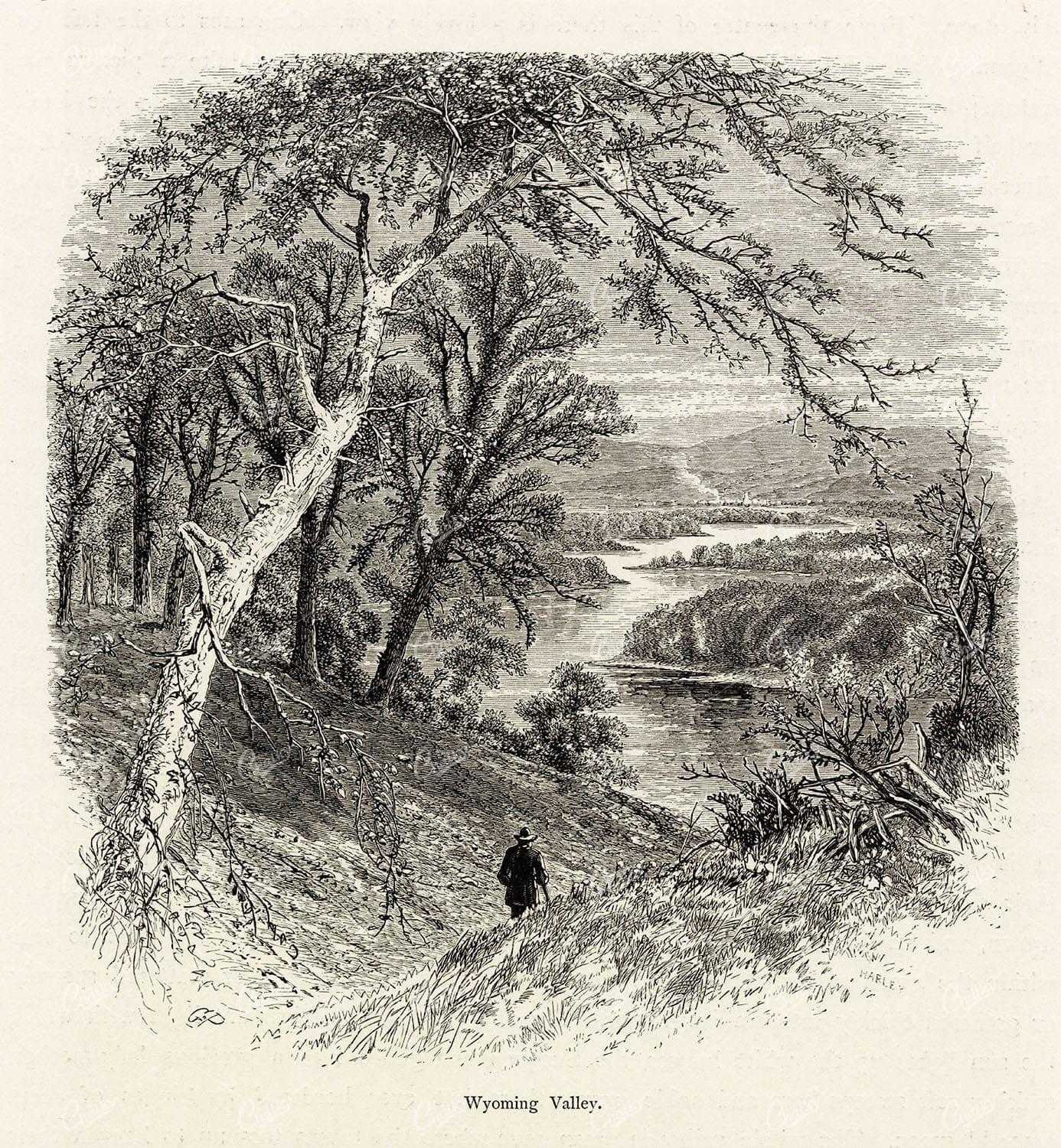 UNITED STATES - Wyoming Valley - Anitque 1874 Landscape Engraving
