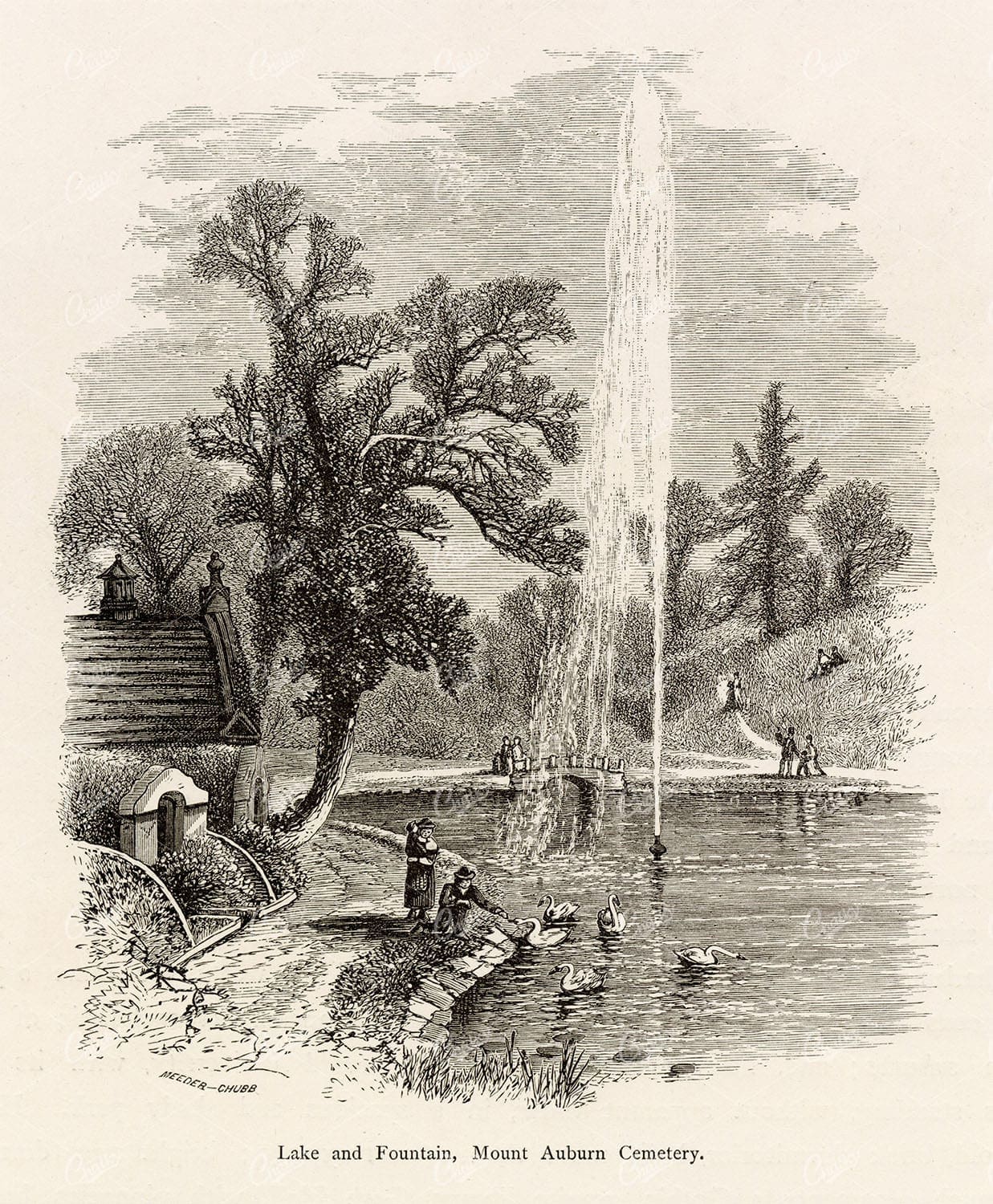 MASSACHUSETTS - Lake and Fountain in Mount Auburn Cemetery - 1874
