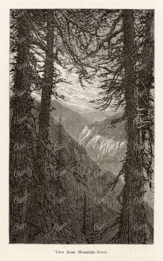 MOUNTAINS Landscape Print - View from Mountain-Road America 1874