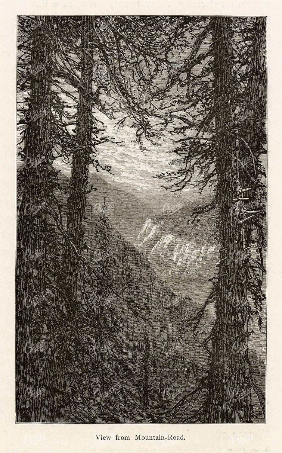 MOUNTAINS Landscape Print - View from Mountain-Road America 1874