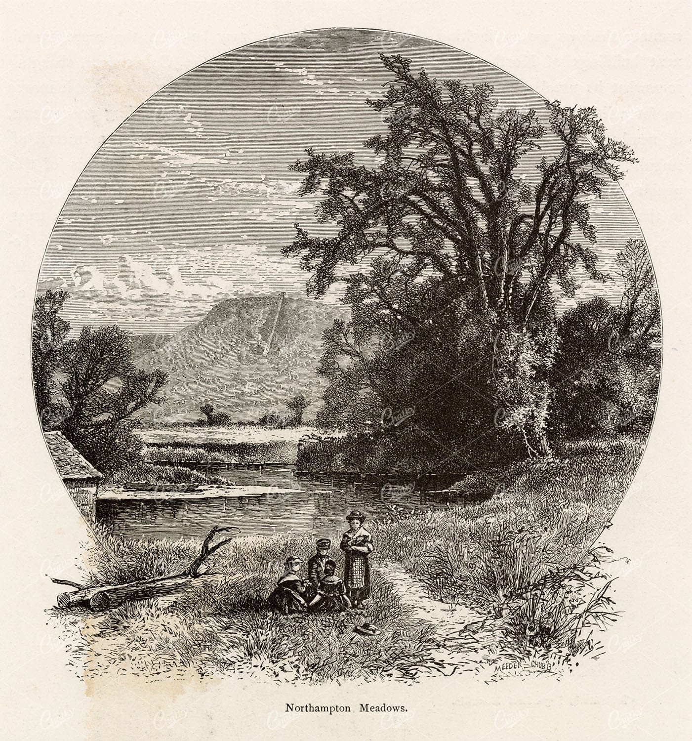 MASSACHUSETTS - Northampton Meadows - 1874 American Landscape